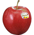 Gala Apfel