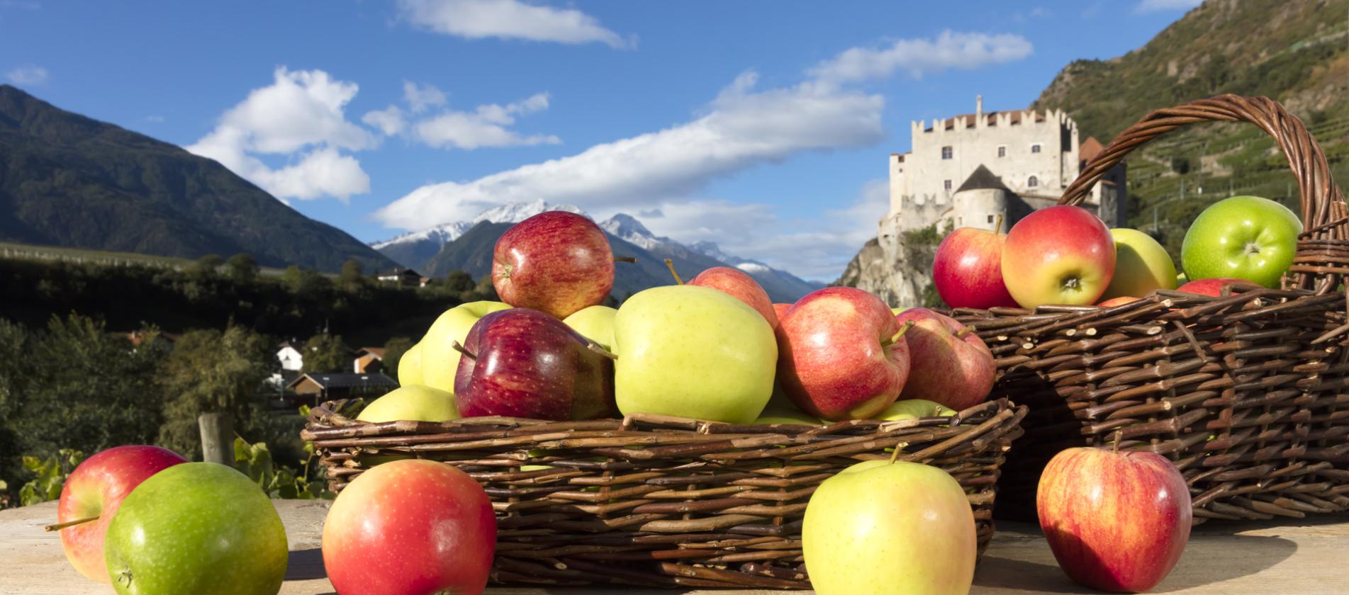 Südtiroler Apfel