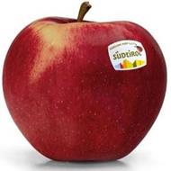 Foto de la variedad de manzana CivM49