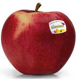 Foto de la variedad de manzana CivM49