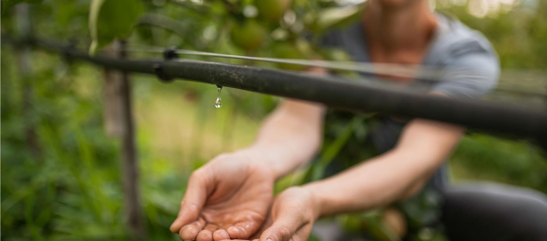 Wassersparmaßnahmen auf Südtirols Apfelwiesen