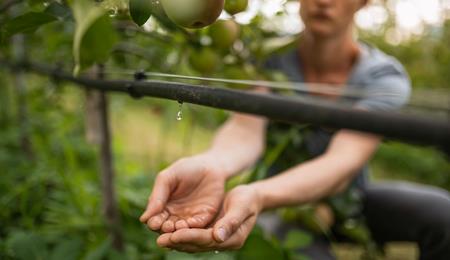 Wassersparmaßnahmen auf Südtirols Apfelwiesen
