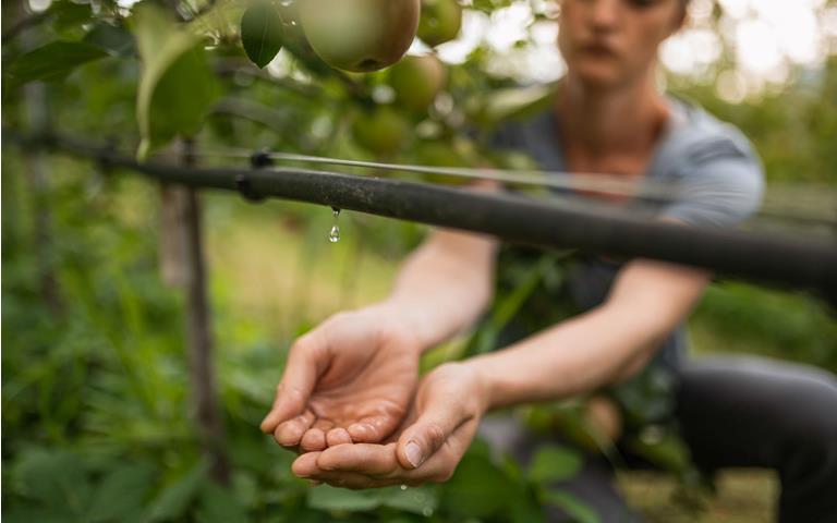 Wassersparmaßnahmen auf Südtirols Apfelwiesen