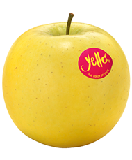 Foto de la variedad de manzana Yello-Shinano-Gold