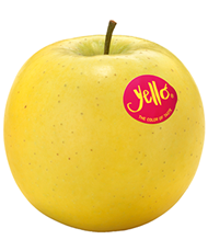 Yello-Shinano-Gold Apfel