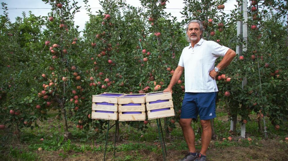 Apfelbauer Thomas Knoll mit seiner Ernte