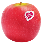 Pink Lady Apfel