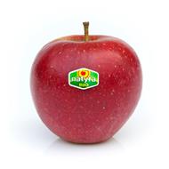 Foto de la variedad de manzana Natyra