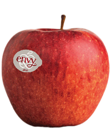 Südtiroler Apfel Envy