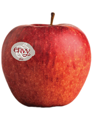 Foto de la variedad de manzana Envy