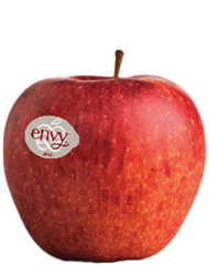 Apfelsorte Envy
