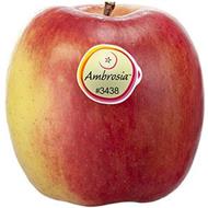 Foto de la variedad de manzana Ambrosia