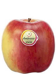 Apfelsorte Ambrosia