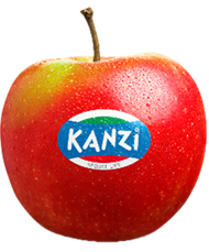 Foto de la variedad de manzana Kanzi