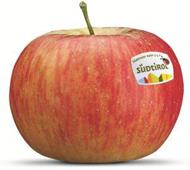 Foto de la variedad de manzana Topaz