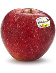 Foto de la variedad de manzana SQ159