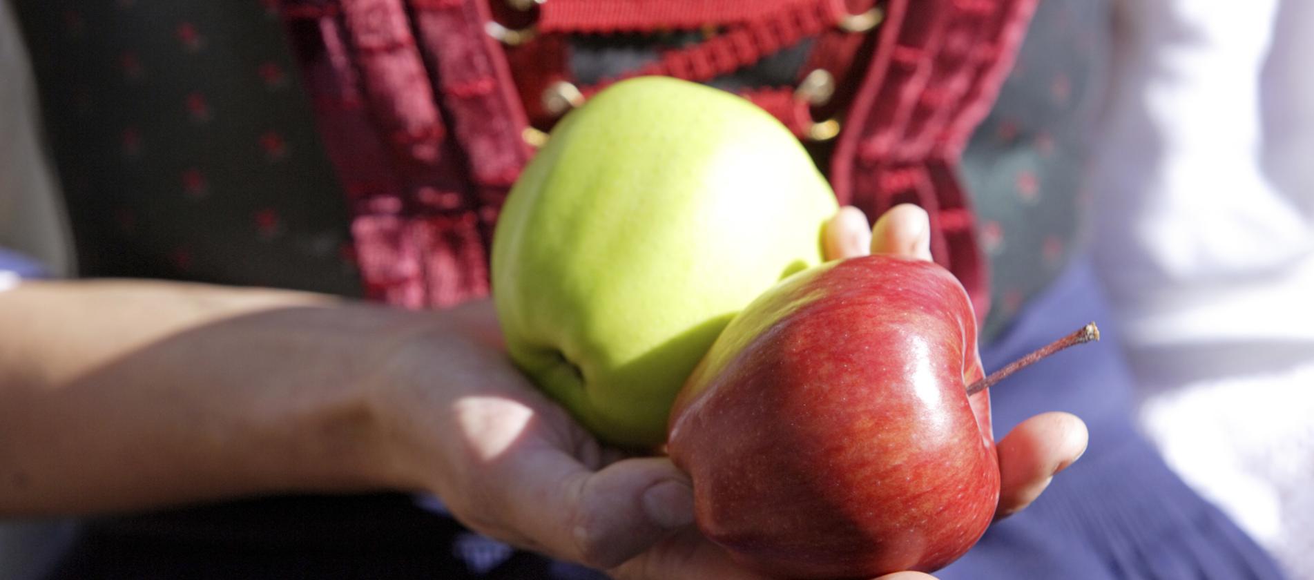 ein roter und ein grüner Apfel