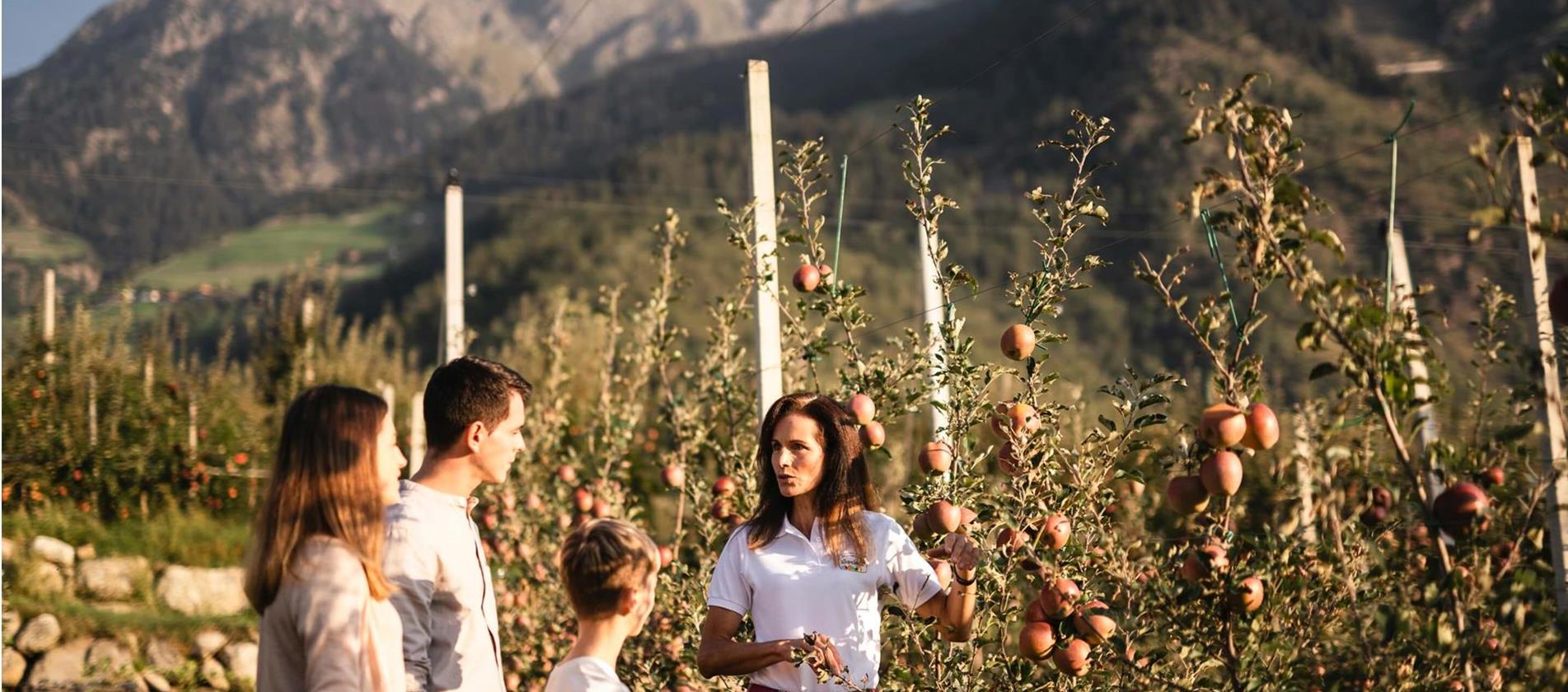 Familie mit drei Personen erhält von einer Bäuerin eine Führung durch herbstliche Apfelwiesen, im Hintergrund Berge