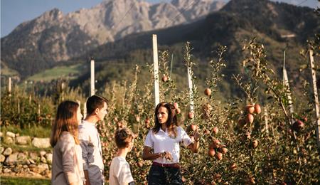 Familie mit drei Personen erhält von einer Bäuerin eine Führung durch herbstliche Apfelwiesen, im Hintergrund Berge