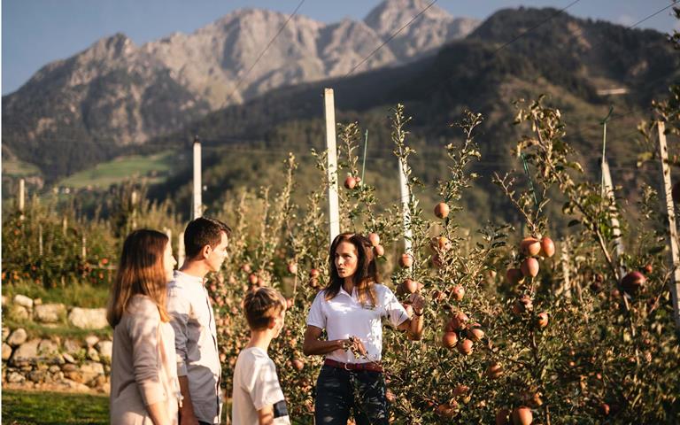 Familie mit drei Personen erhält von einer Bäuerin eine Führung durch herbstliche Apfelwiesen, im Hintergrund Berge