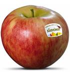 Foto der Apfelsorte Elstar Apfel