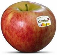 Foto der Apfelsorte Elstar Apfel