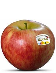 Foto der Apfelsorte Elstar Apfel