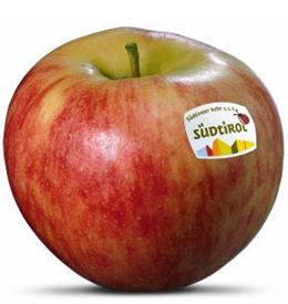 Foto de la variedad de manzana Elstar