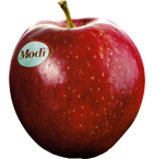 Modi apple