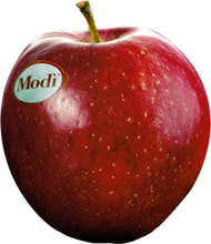 Modi Apfel