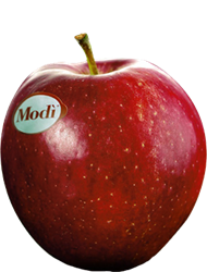 Modi Apfel