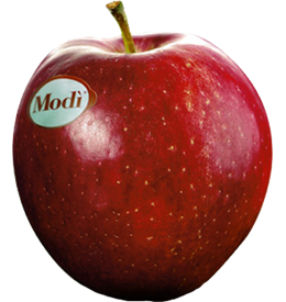 Modi Apfel