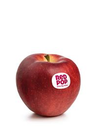 Foto de la variedad de manzana RedPop