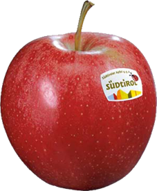 Gala Apfel