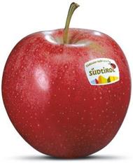 Foto de la variedad de manzana Gala