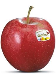 Foto de la variedad de manzana Gala