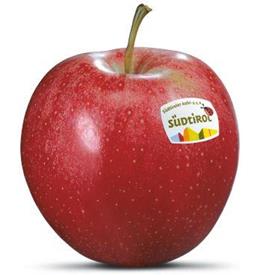 Foto de la variedad de manzana Gala