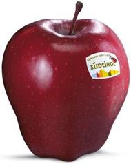 Foto der Apfelsorte Red Delicious