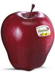 Foto der Apfelsorte Red Delicious