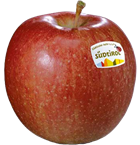 Braeburn Apfel