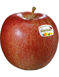 Braeburn Apfel