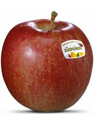Foto der Apfelsorte Braeburn Apfel