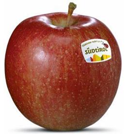 Foto der Apfelsorte Braeburn Apfel