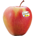 Pinova Apfel