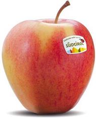 Foto de la variedad de manzana Pinova