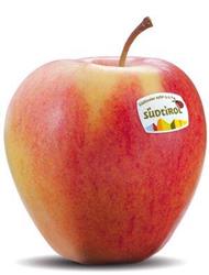 Foto de la variedad de manzana Pinova