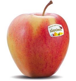 Foto der Apfelsorte Pinova