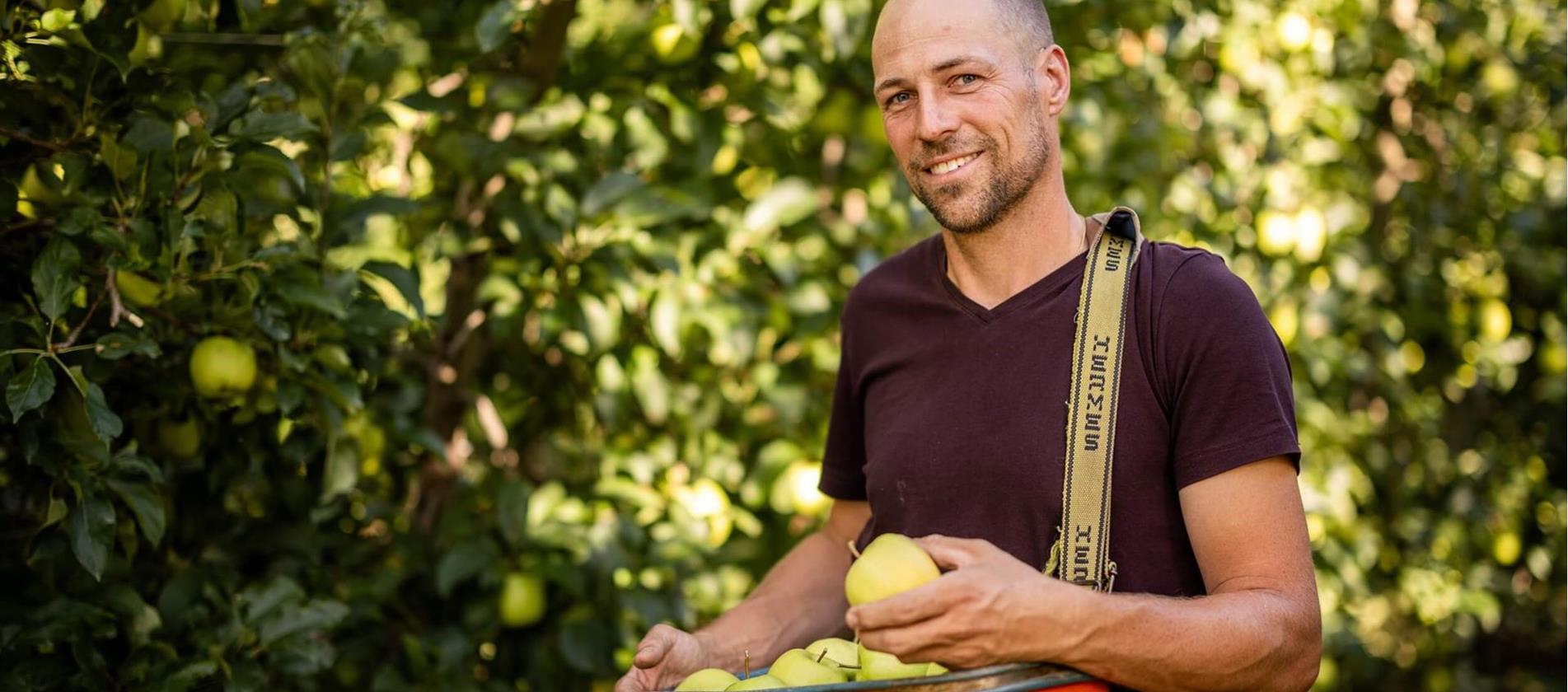 Apfelbauer steht in der Apfelwiese mit Kiste frischer Äpfel in der Hand und lächelt in die Kamera