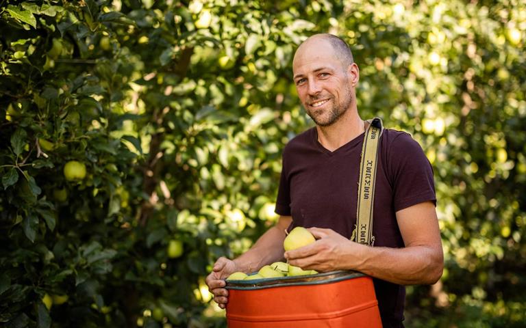 Apfelbauer steht in der Apfelwiese mit Kiste frischer Äpfel in der Hand und lächelt in die Kamera