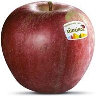 Foto der Apfelsorte Stayman Winesap